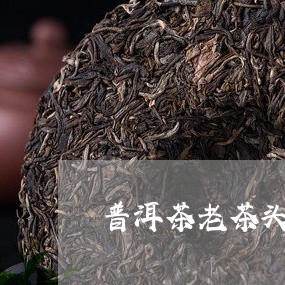 普洱茶老茶头介绍/2023041136262