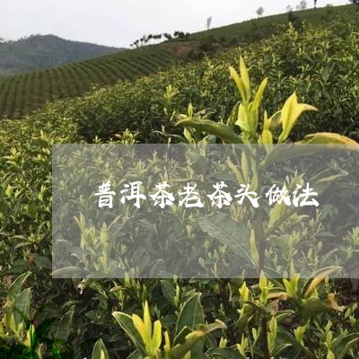 普洱茶老茶头做法/2023031644048