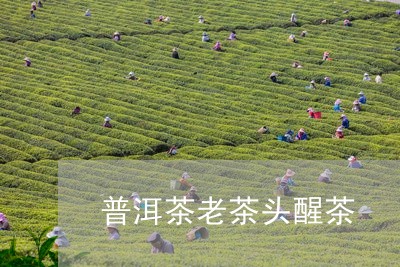 普洱茶老茶头醒茶/2023031528271