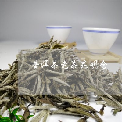 普洱茶老茶昆明仓/2023041211706