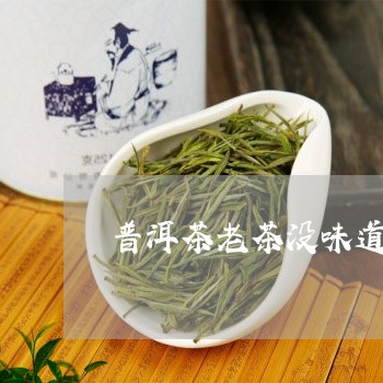 普洱茶老茶没味道/2023031540505