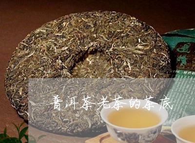 普洱茶老茶的茶底/2023041195049