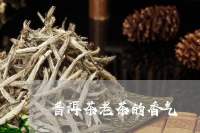 普洱茶老茶的香气/2023031761715