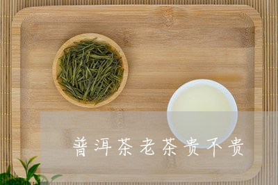 普洱茶老茶贵不贵/2023031655279