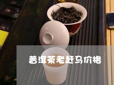 普洱茶老赶马价格/2023041011636