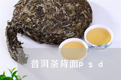 普洱茶背面psd/2023041175159