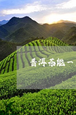 普洱茶能一直泡吗/2023031784927