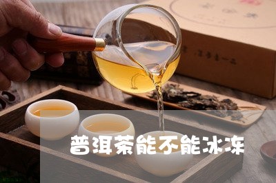 普洱茶能不能冰冻/2023040195946