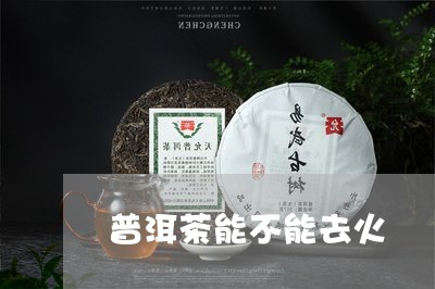 普洱茶能不能去火/2023033090492