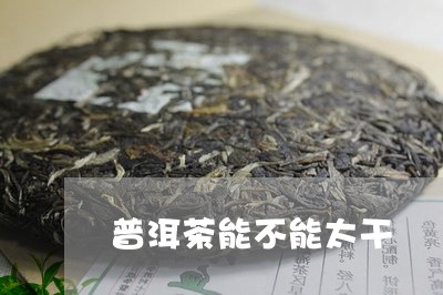 普洱茶能不能太干/2023033106161