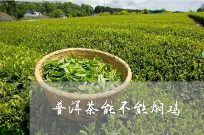 普洱茶能不能焖鸡/2023041381826