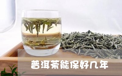 普洱茶能保好几年/2023033192824