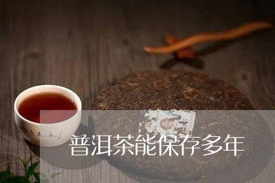 普洱茶能保存多年/2023031682836