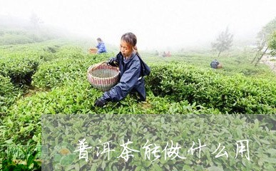 普洱茶能做什么用/2023040160714