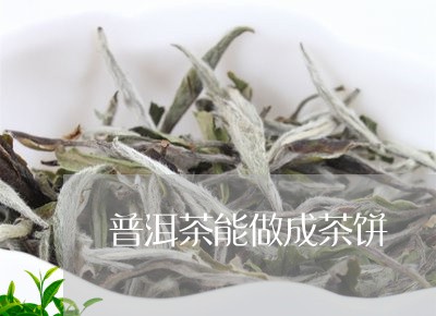 普洱茶能做成茶饼/2023031720514