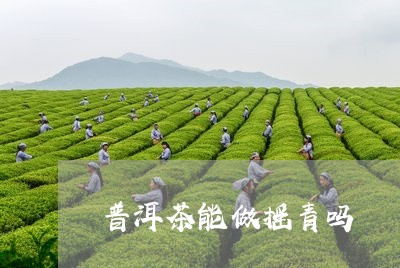 普洱茶能做摇青吗/2023040136161