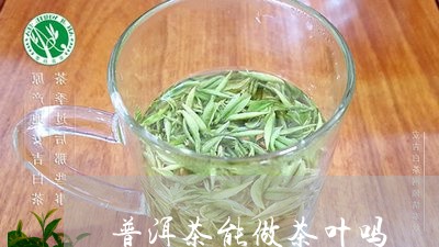 普洱茶能做茶叶吗/2023041031515