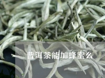 普洱茶能加蜂蜜么/2023040153925