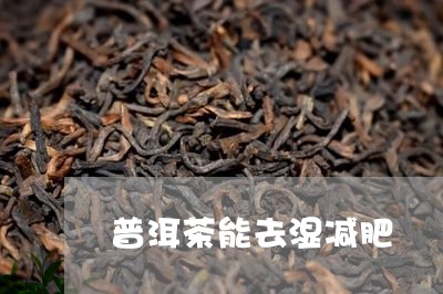 普洱茶能去湿减肥/2023040912258