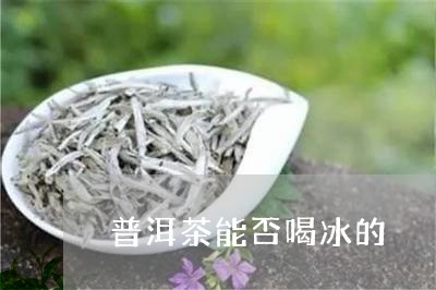 普洱茶能否喝冰的/2023040158279