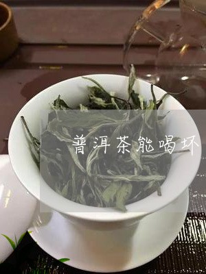 普洱茶能喝坏胃吗/2023033126281