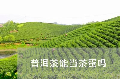 普洱茶能当茶蛋吗/2023033057392