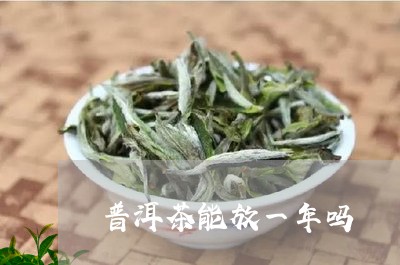 普洱茶能放一年吗/2023033038460