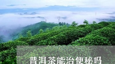 普洱茶能治便秘吗/2023041387379