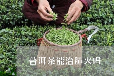 普洱茶能治肺火吗/2023033133827