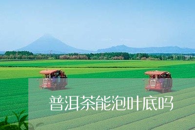 普洱茶能泡叶底吗/2023033191605