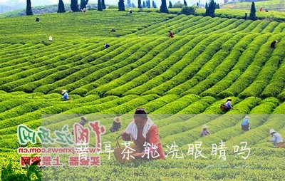 普洱茶能洗眼睛吗/2023040174940