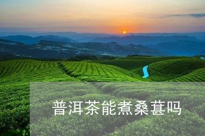 普洱茶能煮桑葚吗/2023031623917