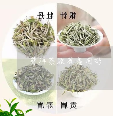 普洱茶能煮着用吗/2023041246050