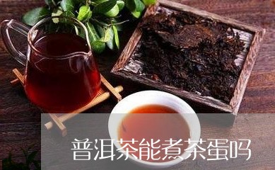 普洱茶能煮茶蛋吗/2023033090694