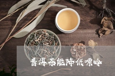 普洱茶能降低嘌呤/2023041047150