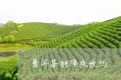 普洱茶能隔夜饮吗/2023040182027