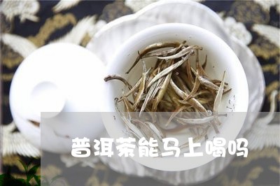 普洱茶能马上喝吗/2023033194046