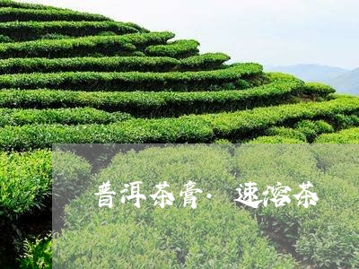 普洱茶膏.速溶茶/2023041149492