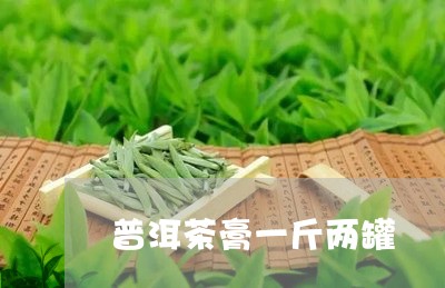 普洱茶膏一斤两罐/2023033084847