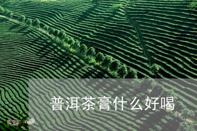 普洱茶膏什么好喝/2023031849693