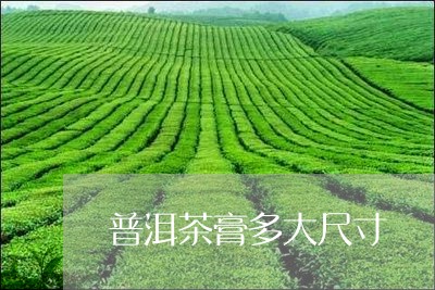 普洱茶膏多大尺寸/2023040950795