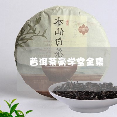 普洱茶膏学堂全集/2023041093169