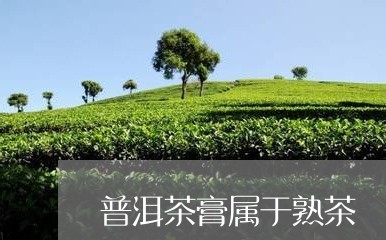 普洱茶膏属于熟茶/2023041187039