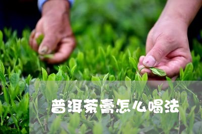 普洱茶膏怎么喝法/2023031753827