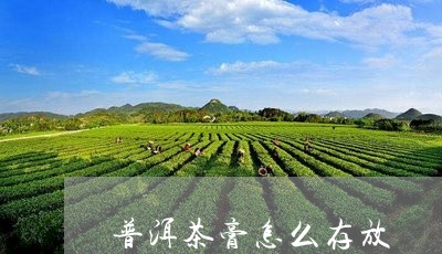 普洱茶膏怎么存放/2023031728491