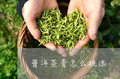 普洱茶膏怎么挑选/2023041084948