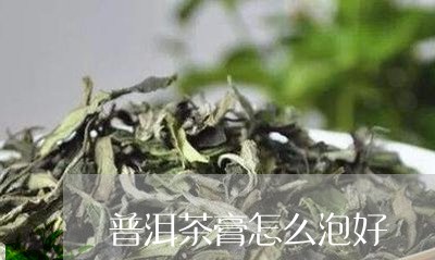 普洱茶膏怎么泡好/2023040151793