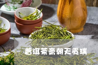 普洱茶膏朝天贡瑞/2023040135038