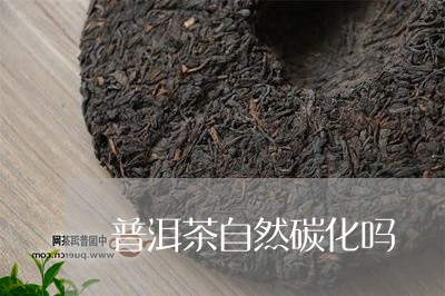 普洱茶自然碳化吗/2023041324028