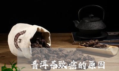 普洱茶致癌的原因/2023041064736